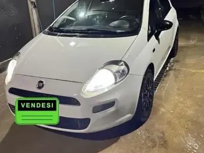 Usata Fiat Punto