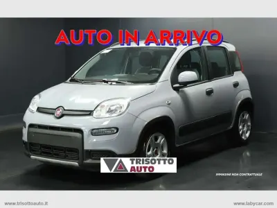 Usata Fiat Panda City Life 69 CV (50 kW) 2023 Grigio Utilitaria