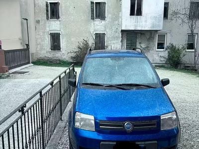Usata Fiat Panda 4x4 Climbing 69 CV (50 kW) 2006 Blu Utilitaria