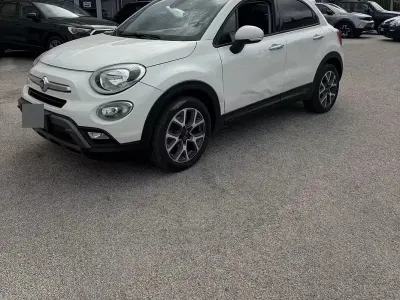 Usata Fiat 500 Cross Plus 120 CV (88 kW) 2010 Bianco Berlina