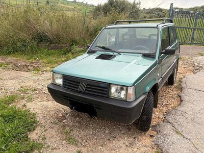 Usata Fiat Panda 4x4 2001 Verde Utilitaria