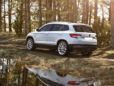 Nuova Skoda Karoq 116 CV (85 kW) 2026 Argento SUV