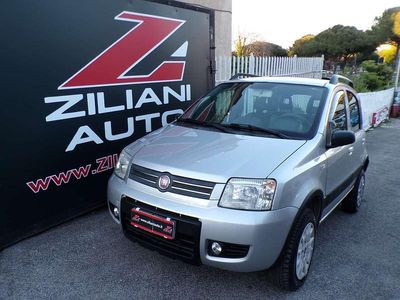 Usata Fiat Panda 4x4 60 CV (44 kW) 2009 Argento Utilitaria