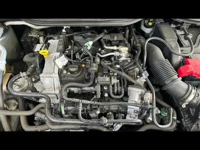 Usata Ford Fiesta Active 125 CV (91 kW) 2024 Grigio SUV