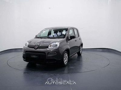 Usata Fiat Panda City Life 69 CV (50 kW) 2022 Gray Berlina