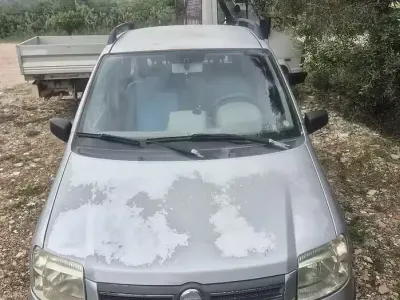 Usata Fiat Panda