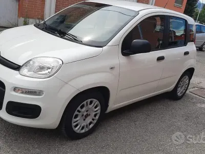 Usata Fiat Panda Easy 69 CV (50 kW) 2016 Bianco Utilitaria