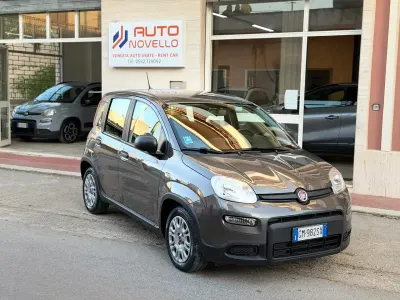 Usata Fiat Panda City Life 70 CV (51 kW) 2023 Grigio Utilitaria