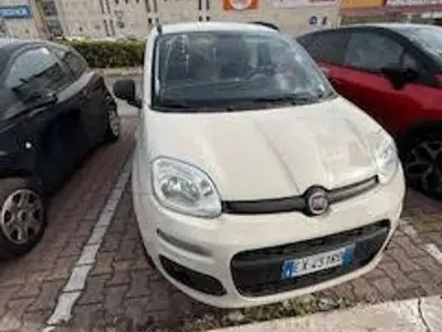 Usata Fiat Panda Lounge 80 CV (58 kW) 2014 Beige Utilitaria