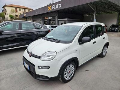 Usata Fiat Panda City Life 69 CV (50 kW) 2023 Bianco Utilitaria
