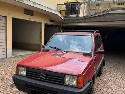 Usata Fiat Panda 4x4 Trekking 48 CV (35 kW) 2002 Rosso Utilitaria