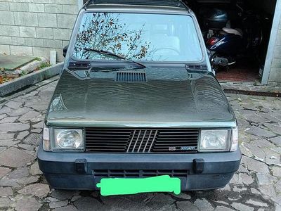 Usata Fiat Panda 4x4 50 CV (36 kW) 1990 Verde Utilitaria