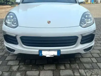 Usado Porsche Cayenne Platinum Edition 245 CV (180 kW) 2014 SUV