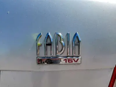 Usata Skoda Fabia