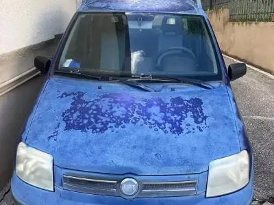 Usata Fiat Panda