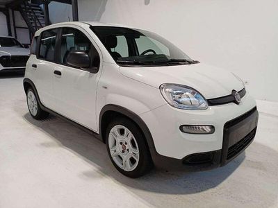 Usata Fiat Panda City Life 69 CV (50 kW) 2024 Bianco Utilitaria