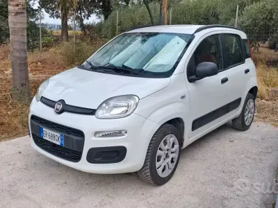 Usata Fiat Panda Easy 85 CV (62 kW) 2013 Bianco Utilitaria