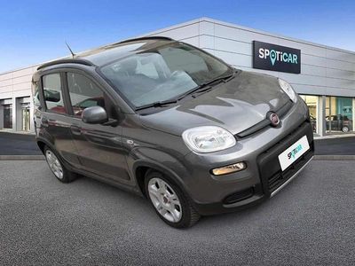 Usata Fiat Panda City Life 69 CV (50 kW) 2022 Grigio Utilitaria