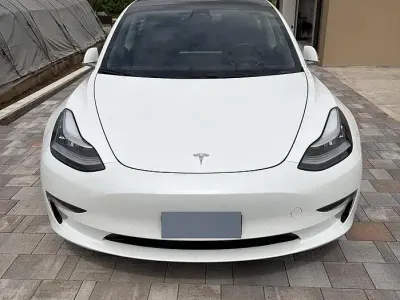 Usata Tesla Model 3 Standard Range Plus 100 kW (136 CV) 2019 Bianco Berlina