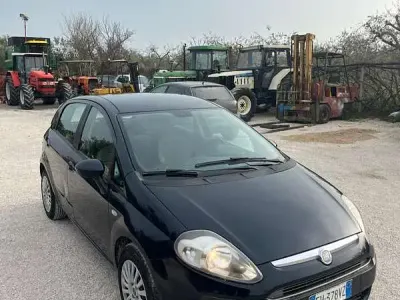 Usata Fiat Punto Evo