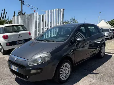 Usata Fiat Punto Evo