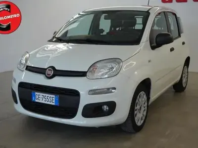 Usata Fiat Panda Easy 69 CV (50 kW) 2021 Bianco Utilitaria