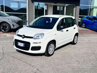 Nuova Fiat Panda Icon 70 CV (51 kW) 2026 Bianco Utilitaria
