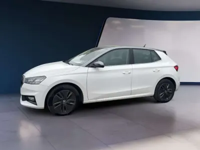 Usata Skoda Fabia
