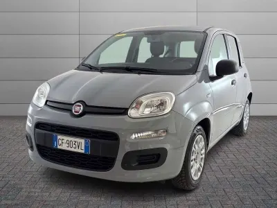 Usata Fiat Panda 69 CV (50 kW) 2021 Grigio Utilitaria