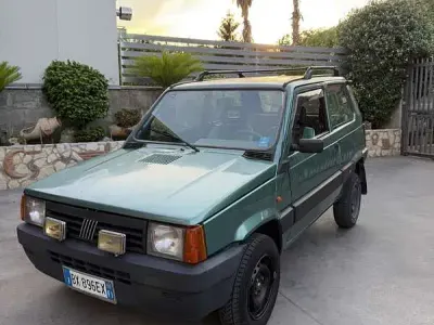 Usata Fiat Panda 4x4