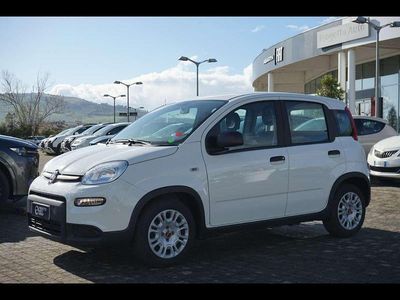 Usata Fiat Panda 2024 Bianco Utilitaria