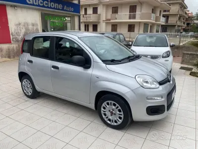 Usata Fiat Panda Easy 69 CV (50 kW) 2020 Grigio Utilitaria