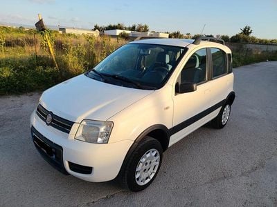 Usata Fiat Panda 4x4 Climbing 74 CV (54 kW) 2007 Bianco Utilitaria