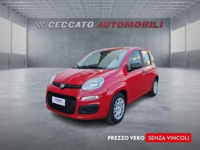 Nuova Fiat Panda Icon 65 CV (47 kW) 2026 Rosso Utilitaria