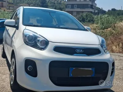 Usata Kia Picanto 67 CV (49 kW) 2015 Bianco Utilitaria