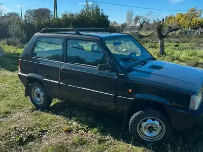 Usata Fiat Panda 4x4 50 CV (36 kW) 2026 Grigio Utilitaria