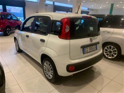 usata Fiat Panda Cross 1.0 FireFly S&S Hybrid City del 2021 usata a Torino