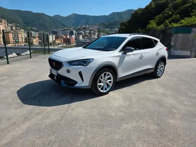 Usata Cupra Formentor