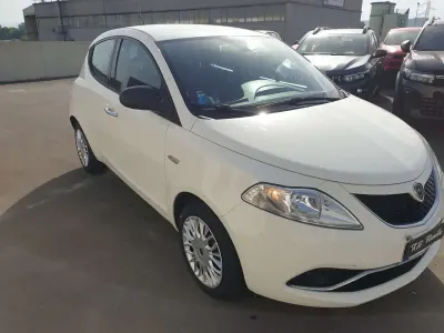 Usata Lancia Ypsilon S 95 CV (69 kW) 2015 Bianco Utilitaria