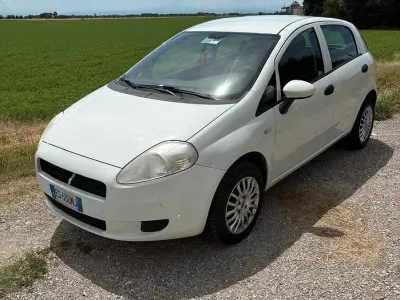 Usata Fiat Punto 77 CV (56 kW) 2013 Bianco Utilitaria