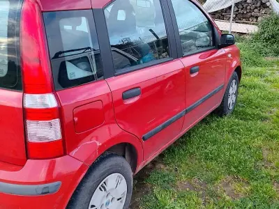 Usata Fiat Panda 60 CV (44 kW) 2008 Rosso Utilitaria