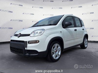 Usata Fiat Panda 70 CV (51 kW) 2024 Bianco Utilitaria