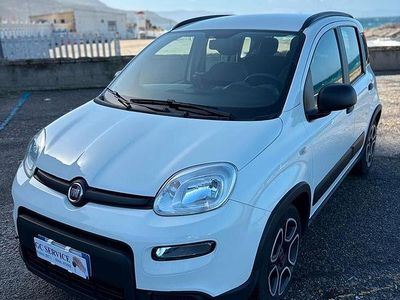 Usata Fiat Panda City Life 70 CV (51 kW) 2022 Bianco Utilitaria