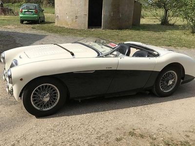 Usata Austin Healey 100 92 CV (67 kW) 1954 Cabrio