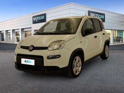 usata Fiat Panda 1.0 FireFly 70cv S&S Hybrid SCOPRI DI PIÙ SU QUESTO VEICOLO E SULLE MODALITÀ DI CONSEGNA