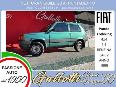 Usata Fiat Panda 4x4 Trekking 54 CV (39 kW) 1999 Grigio Utilitaria