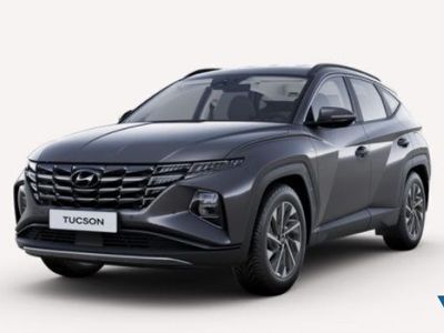 usata Hyundai Tucson 1.6 CRDI 48V XLine nuova a Bordano