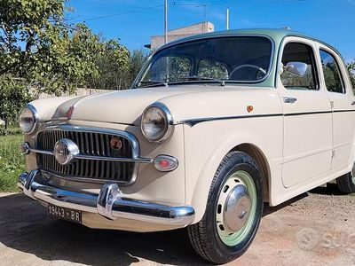 Usata Fiat 1100 1950 Verde Berlina