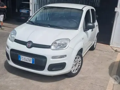 Usata Fiat Panda Easy 69 CV (50 kW) 2019 Bianco Utilitaria