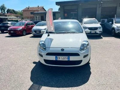 Usata Fiat Punto Easy 69 CV (50 kW) 2013 Bianco Utilitaria